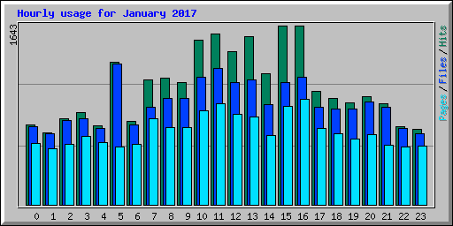 Hourly usage for January 2017